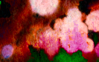 eduardo-angulo-art-12