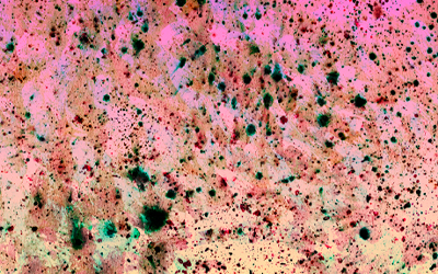 por-que-arte-abstracto-genera-rechazo-Eduardo-Angulo-